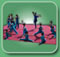 Stages ed Eventi