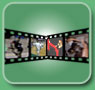 Video Gallery